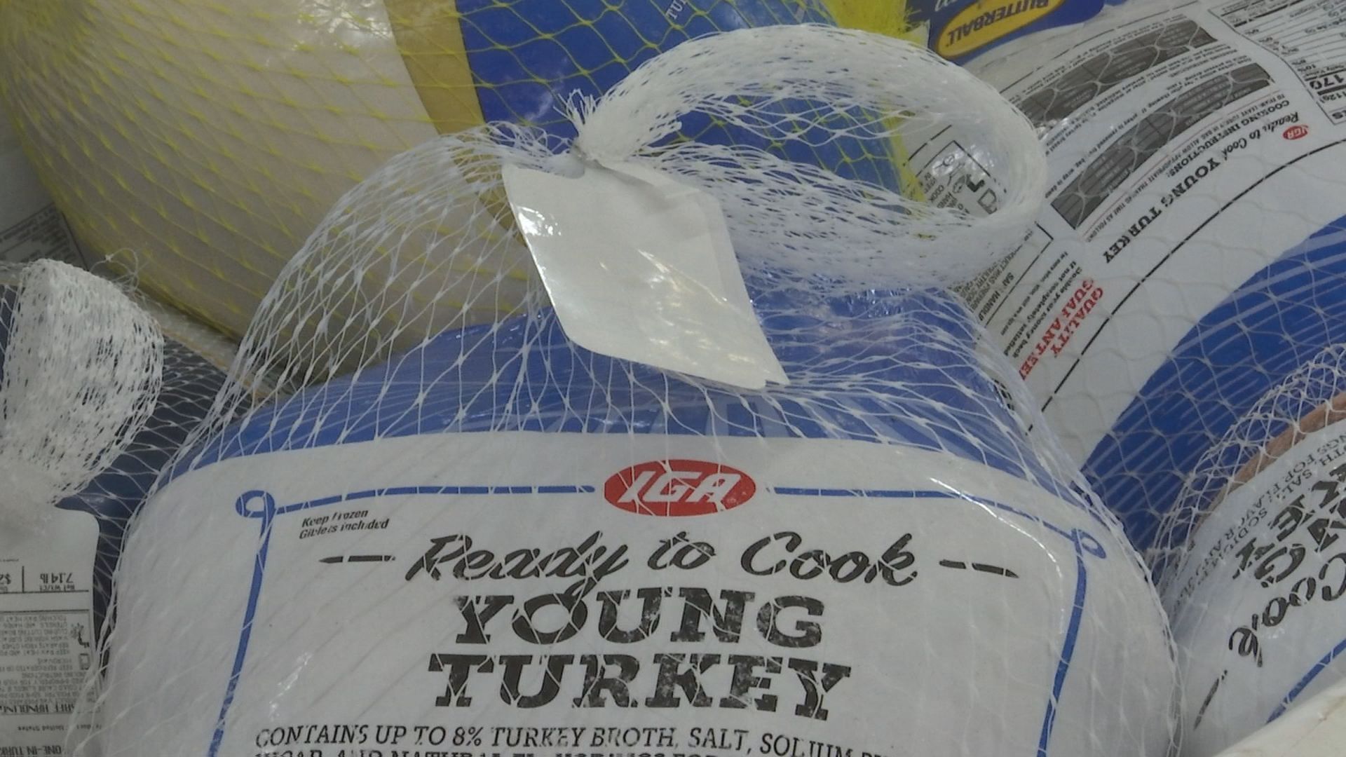 turkey